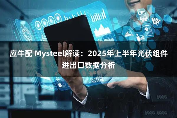 应牛配 Mysteel解读：2025年上半年光伏组件进出口数据分析