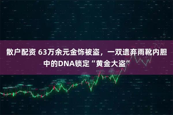 散户配资 63万余元金饰被盗，一双遗弃雨靴内胆中的DNA锁定“黄金大盗”