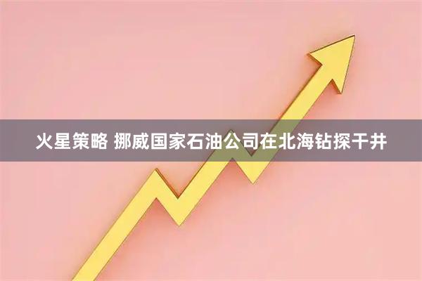 火星策略 挪威国家石油公司在北海钻探干井