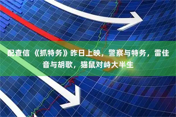 配查信 《抓特务》昨日上映，警察与特务，雷佳音与胡歌，猫鼠对峙大半生
